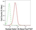 NFIB Antibody in Flow Cytometry (Flow)