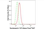 NUP107 Antibody in Flow Cytometry (Flow)