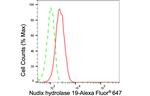 NUDT19 Antibody in Flow Cytometry (Flow)