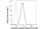 Oxytocin Receptor Antibody in Flow Cytometry (Flow)