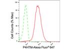 P4HTM Antibody in Flow Cytometry (Flow)