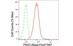PAG1 Antibody in Flow Cytometry (Flow)