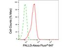 Palladin Antibody in Flow Cytometry (Flow)