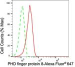 PHF8 Antibody in Flow Cytometry (Flow)