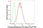 PDE4D Antibody in Flow Cytometry (Flow)