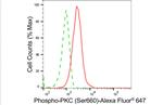 Phospho-PKC Pan (Ser660) Antibody in Flow Cytometry (Flow)