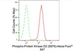 Phospho-PRKD2 (Ser876) Antibody in Flow Cytometry (Flow)