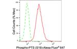 Phospho-PTS (Ser19) Antibody in Flow Cytometry (Flow)