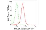 POLD1 Antibody in Flow Cytometry (Flow)