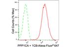 PP1 alpha/beta Antibody in Flow Cytometry (Flow)