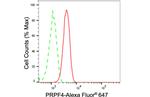 PRPF4 Antibody in Flow Cytometry (Flow)
