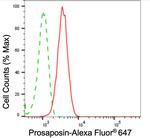 PSAP Antibody in Flow Cytometry (Flow)