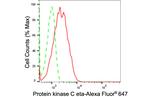 PKC eta Antibody in Flow Cytometry (Flow)