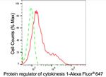 PRC1 Antibody in Flow Cytometry (Flow)