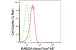 RAB22A Antibody in Flow Cytometry (Flow)
