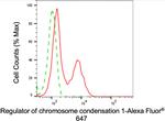 RCC1 Antibody in Flow Cytometry (Flow)