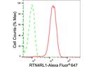 RTN4RL1 Antibody in Flow Cytometry (Flow)