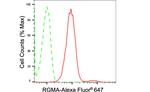 RGMA Antibody in Flow Cytometry (Flow)