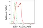 SART1 Antibody in Flow Cytometry (Flow)