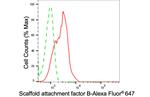 SAFB Antibody in Flow Cytometry (Flow)