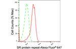 SRSF6 Antibody in Flow Cytometry (Flow)