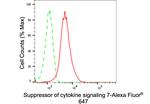 SOCS7 Antibody in Flow Cytometry (Flow)