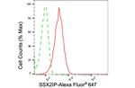 SSX2IP Antibody in Flow Cytometry (Flow)