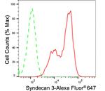 Syndecan 3 Antibody in Flow Cytometry (Flow)