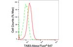 TAB3 Antibody in Flow Cytometry (Flow)