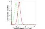TAGAP Antibody in Flow Cytometry (Flow)
