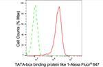 TBPL1 Antibody in Flow Cytometry (Flow)
