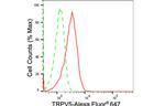 TRPV5 Antibody in Flow Cytometry (Flow)