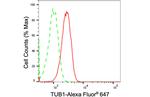 TUB Antibody in Flow Cytometry (Flow)