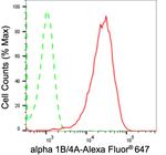 TUBA1B/TUBA4A Antibody in Flow Cytometry (Flow)
