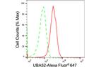UBA52 Antibody in Flow Cytometry (Flow)