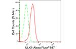ULK1 Antibody in Flow Cytometry (Flow)
