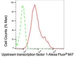 USF1 Antibody in Flow Cytometry (Flow)