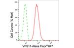 VPS11 Antibody in Flow Cytometry (Flow)