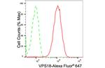 VPS18 Antibody in Flow Cytometry (Flow)