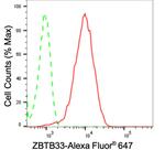 Kaiso Antibody in Flow Cytometry (Flow)