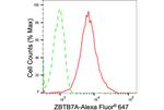 Pokemon Antibody in Flow Cytometry (Flow)