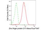 ZNF217 Antibody in Flow Cytometry (Flow)