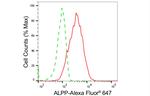 Placental Alkaline Phosphatase Antibody in Flow Cytometry (Flow)