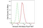 Annexin A4 Antibody in Flow Cytometry (Flow)
