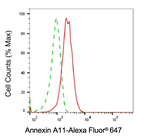 Annexin A11 Antibody in Flow Cytometry (Flow)