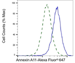 Annexin A11 Antibody in Flow Cytometry (Flow)