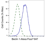 Beclin 1 Antibody in Flow Cytometry (Flow)