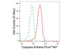 Caspase 8 Antibody in Flow Cytometry (Flow)