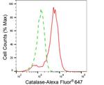 Catalase Antibody in Flow Cytometry (Flow)