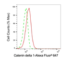delta Catenin Antibody in Flow Cytometry (Flow)